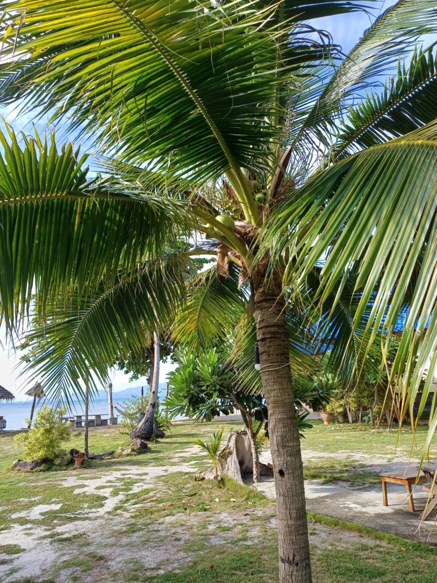 Tropicana Khophagan Resort Hotel Thongsala Exterior photo